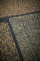 /album/legifotok/img-7810-jpg/